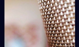 Microphone grill - 2fly studios