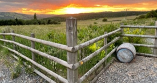 View from the studio - 2fly studios