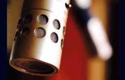 SE4a microphones - 2fly studios